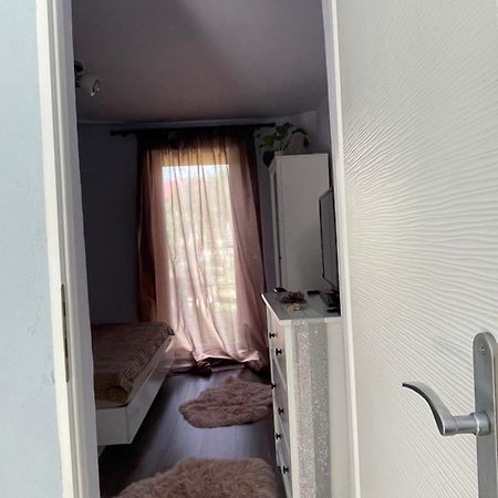 Garsoniera La Casa Apartment Timisoara Bagian luar foto
