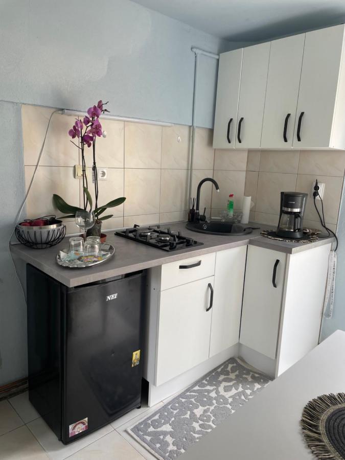 Garsoniera La Casa Apartment Timisoara Bagian luar foto